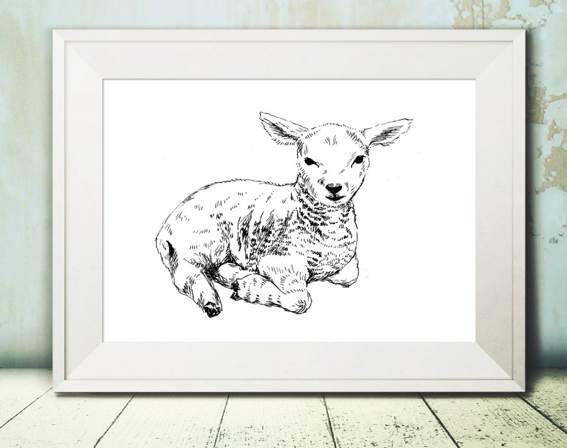Lamb Drawing Wall Art Farmhouse Nursery Black And White Sheep Print Lamb Poster - Image 2