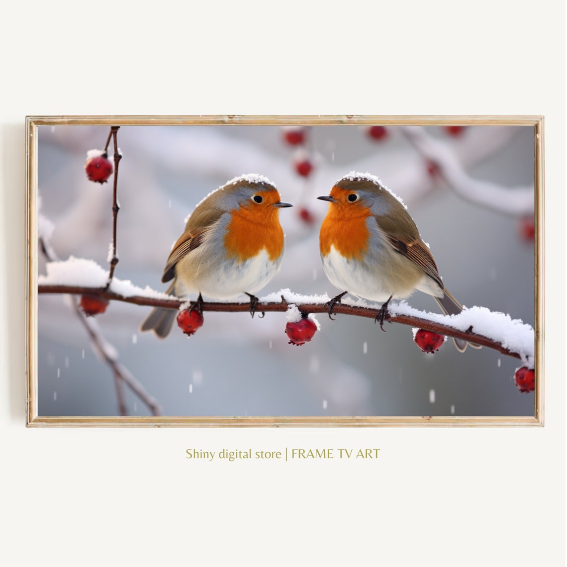 European Robin Pair Snowy Winter Branch Christmas Bird Wall Art