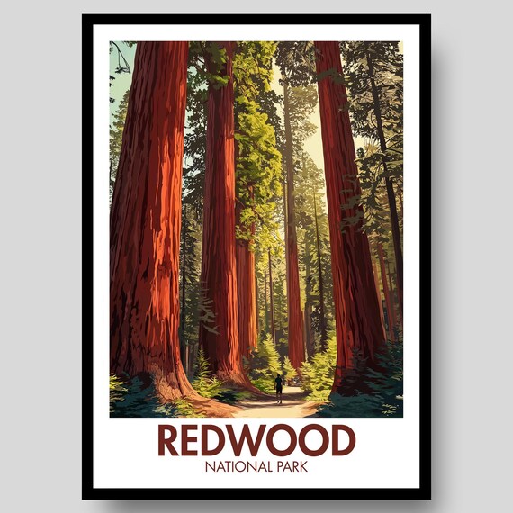 Redwood National Park Forest Path Tall Ancient Trees Trail Poster