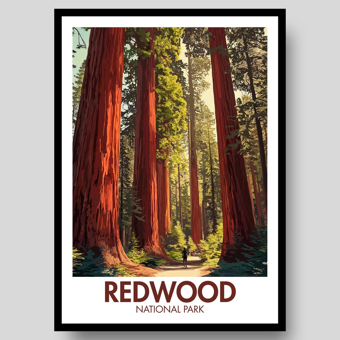 Redwood National Park Forest Path Tall Ancient Trees Trail Poster