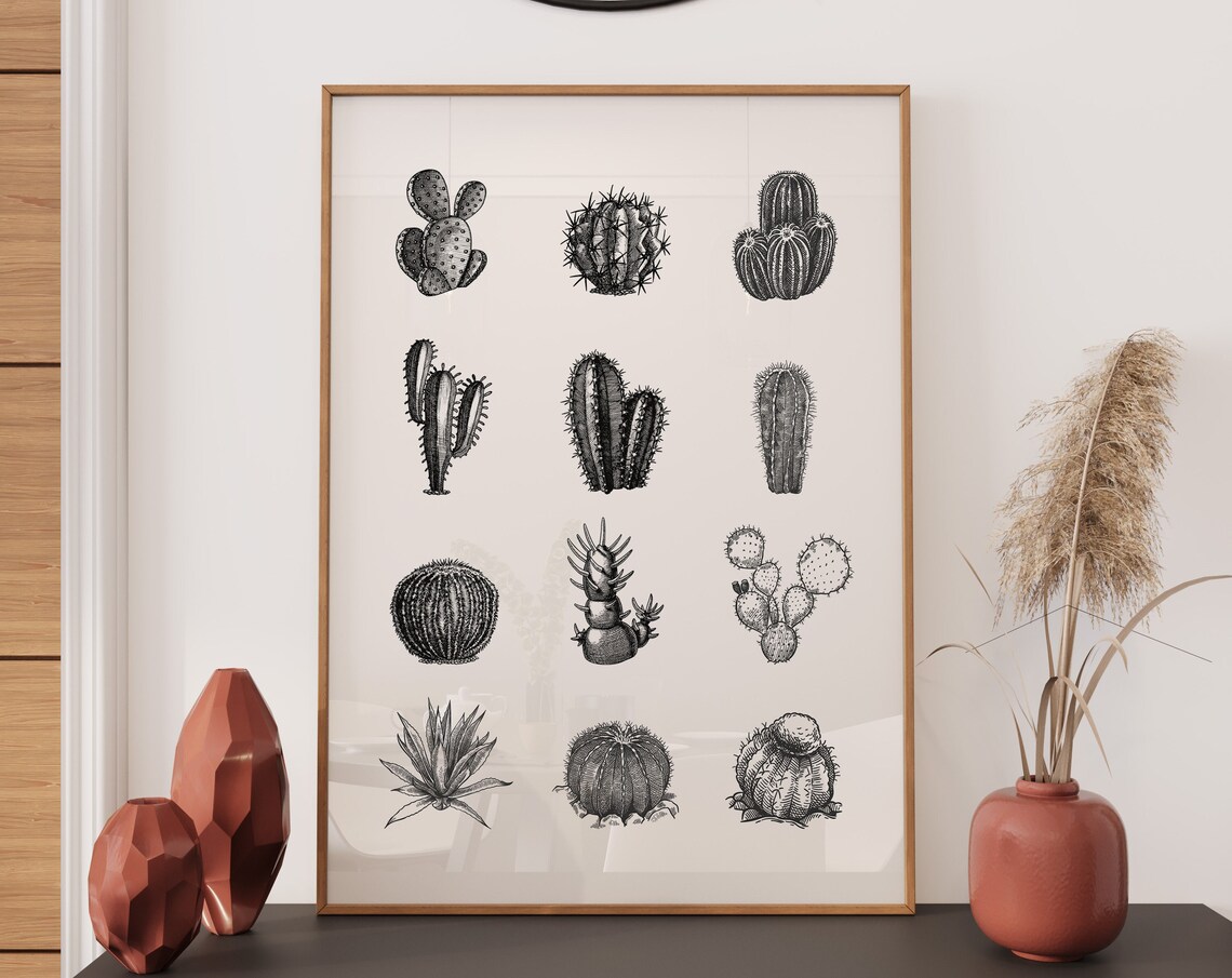 Cactus Species Vintage Botanical Illustration Grid Desert Poster