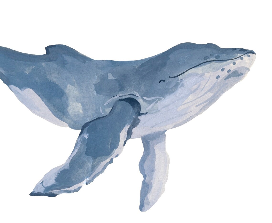 Blue Whale Art Print, Nursery Room Decor - Image 2