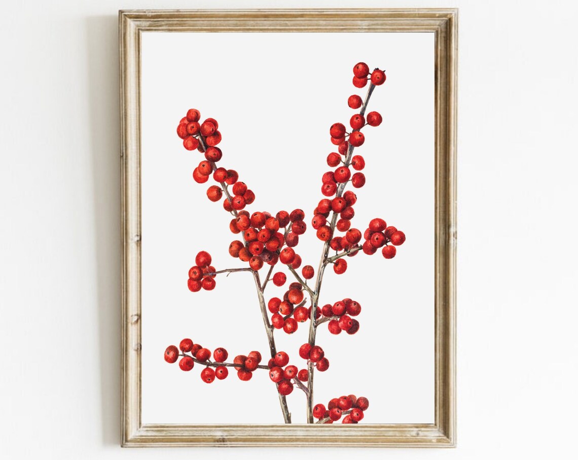 Vintage Winterberry Botanical Art Print, Farmhouse