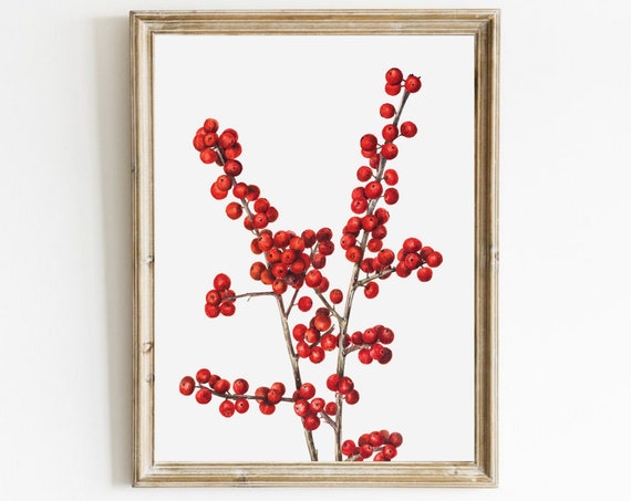 Vintage Winterberry Botanical Art Print, Farmhouse