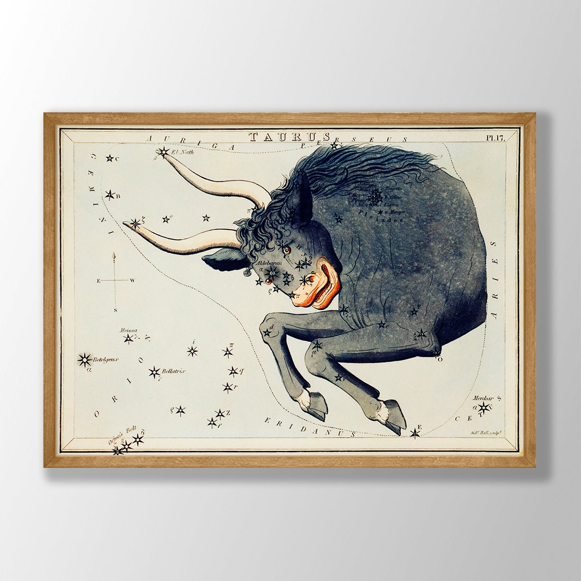 Taurus Zodiac Constellation Bull Antique Star Chart Artwork Poster