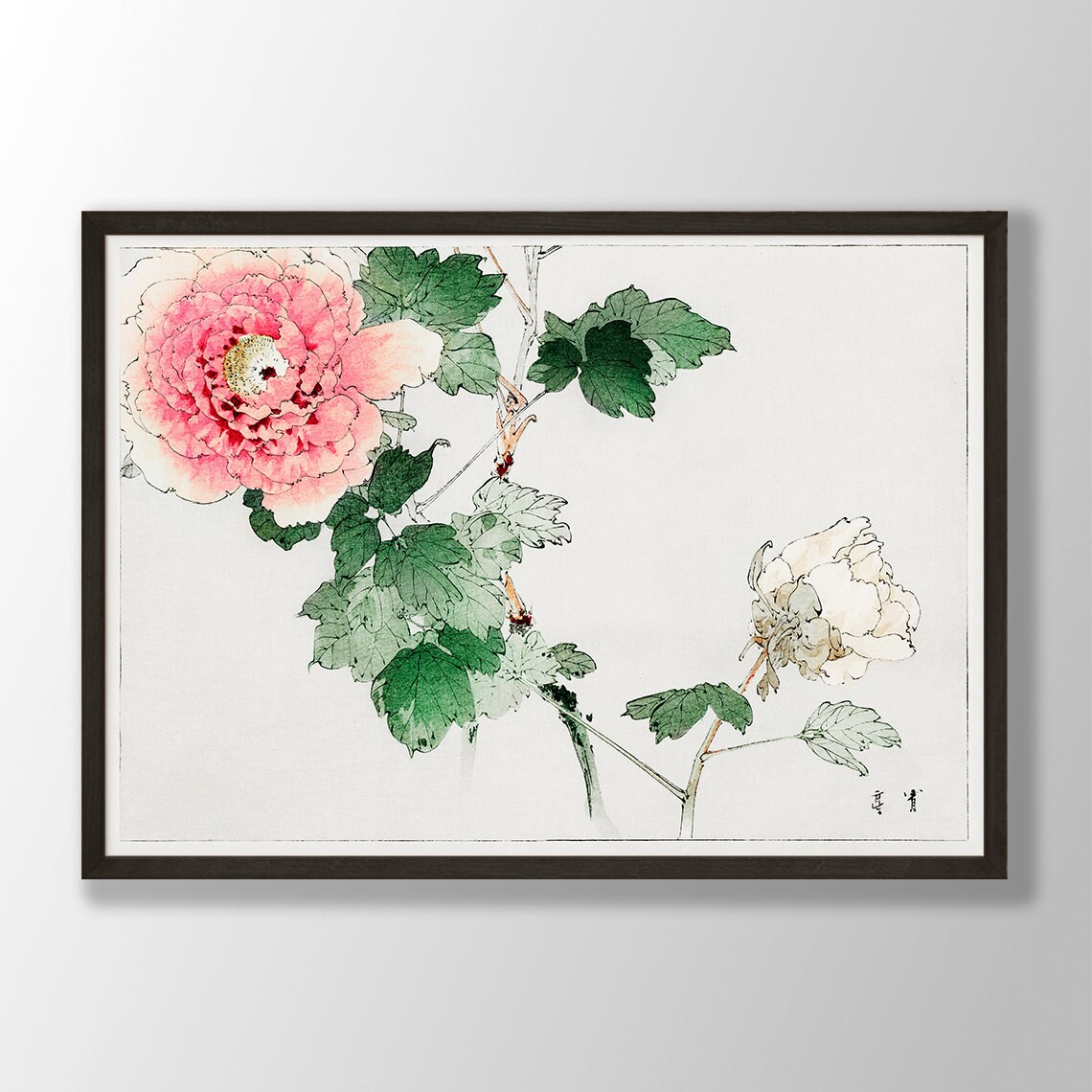 Japanese Peony Art Print, Farmhouse Cottage Decor
