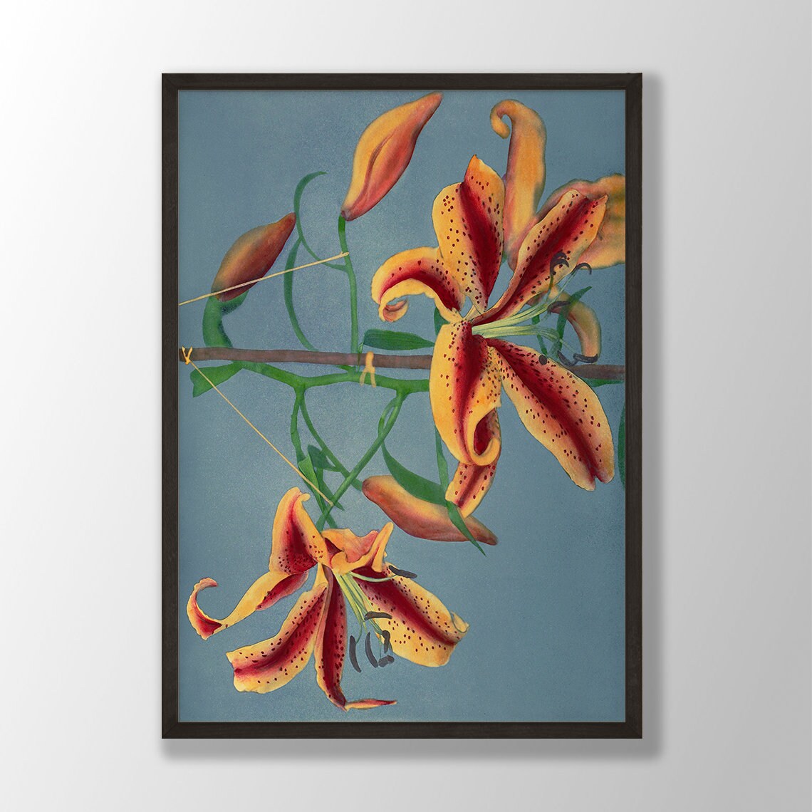 Vintage Japanese Flower Print Lily Art Print, Botanical Decor