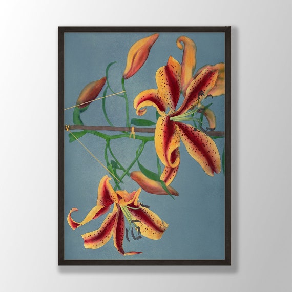Vintage Japanese Flower Print Lily Art Print, Botanical Decor