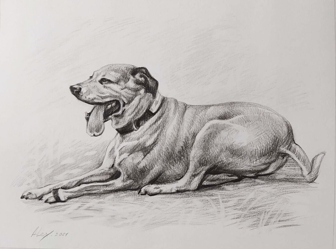 Dog Lying Down Yawning Detailed Pencil Sketch Portrait Poster - Image 3