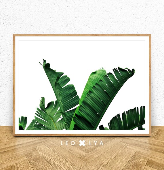 Tropical Leaf Print Palm Leaf Tropical Plant Banana Leaf Tropical Leaves Green Leaf Print Minimal Art Tropical Art Palm Tree Print
