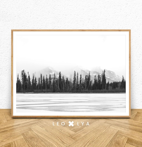 Black And White Forest Photography Art Print