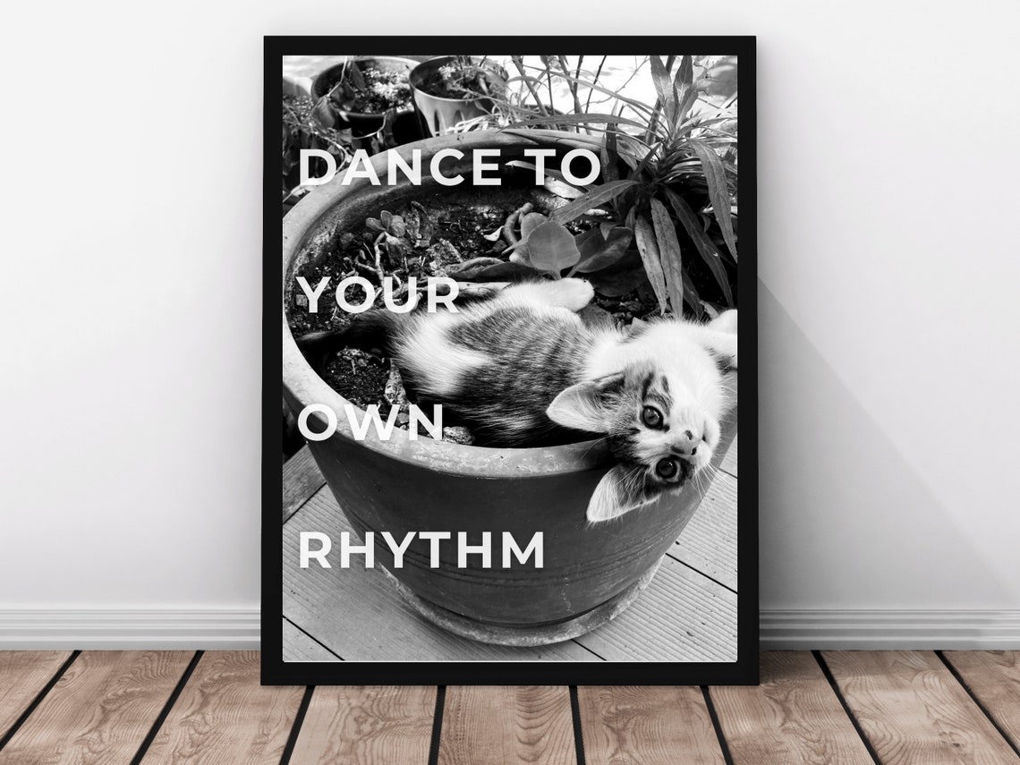 Dance To Your Own Rhythm Kitten In Pot Photo Quote Wall Poster