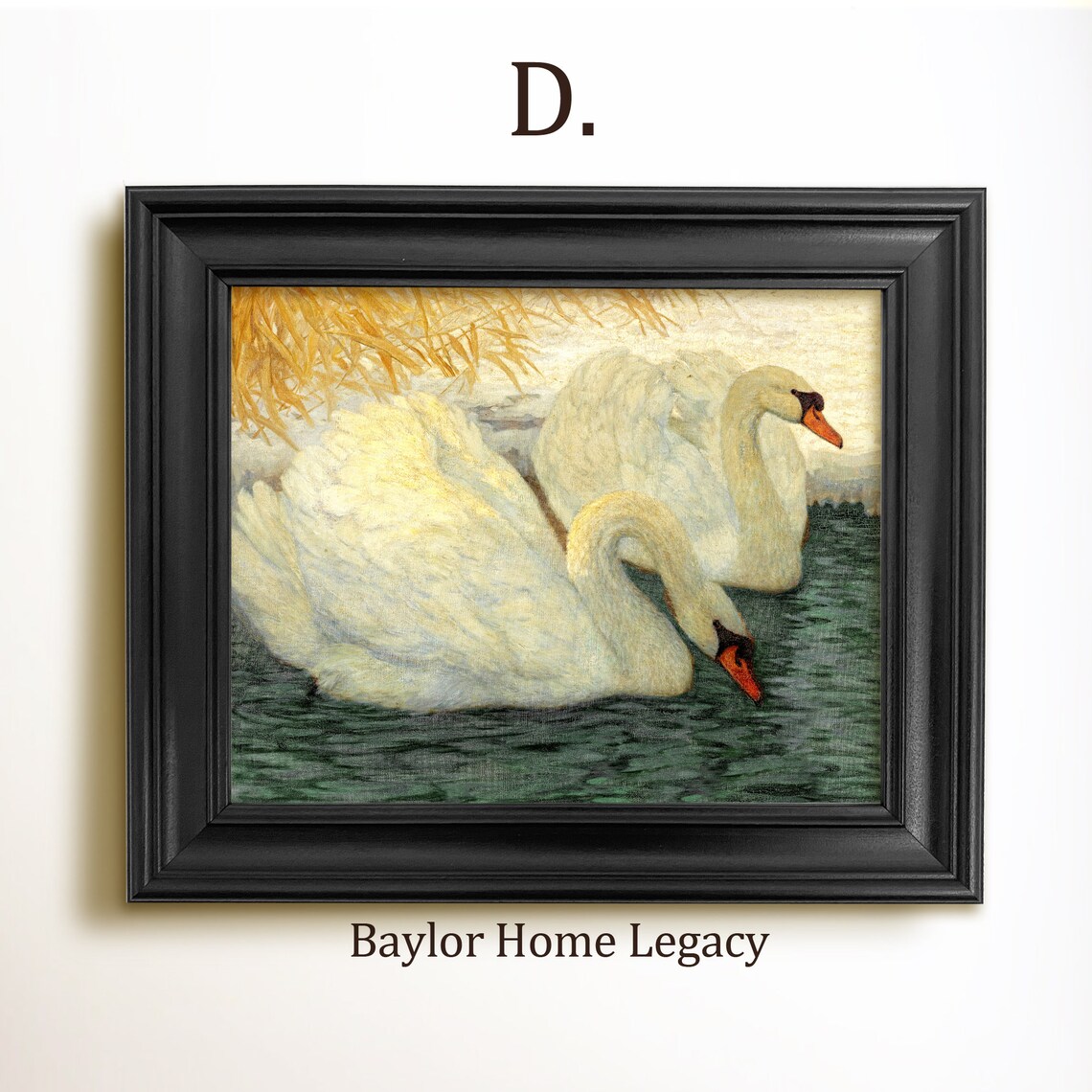 White Swans In A Pond Vintage Country Cottage Art Print - Image 2