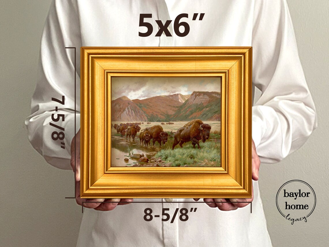 Herd Of Buffalo Crossing Stream At Red Mountains Vintage Wildlife Poster - Image 3