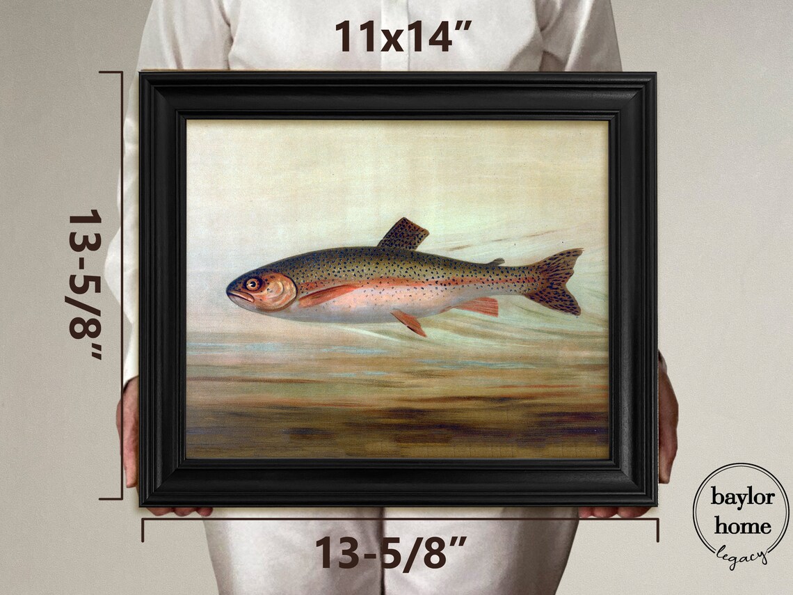 Rainbow Trout Swimming Vintage Fish Painting Nature Art Print Poster - Image 3