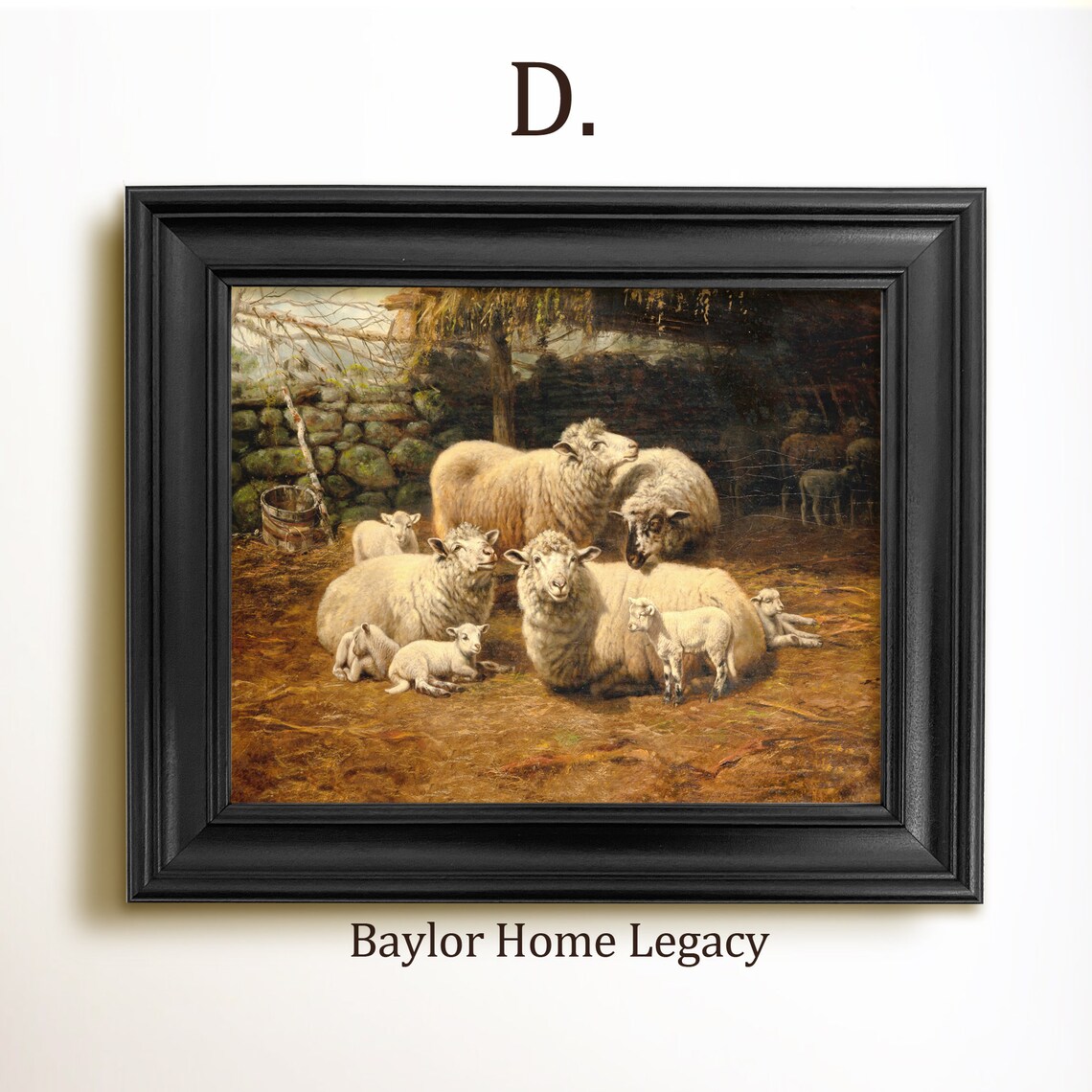 Sheep Oil Painting Art Print, Vintage Rustic Country - Image 2