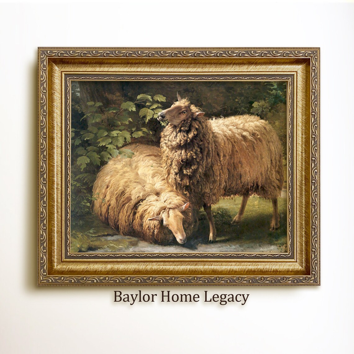 Pair Of Shaggy Sheep Resting Under Trees Vintage Farm Animal Painting