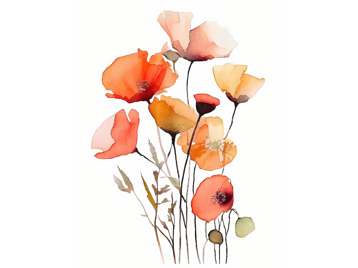 Poppies Watercolor Art Print, Farmhouse Floral Decor