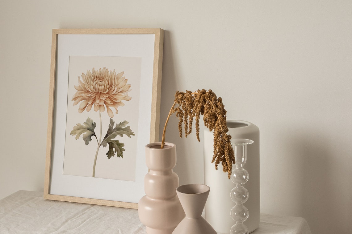 Soft Peach Chrysanthemum Bloom Botanical Watercolor Study Poster - Image 2