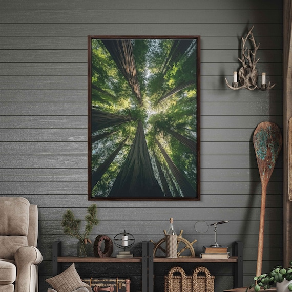 Acrylic Redwood Forest Wall Art Print Gift For Nature Lover Towering Trees Serene Outdoors Ready To Hang