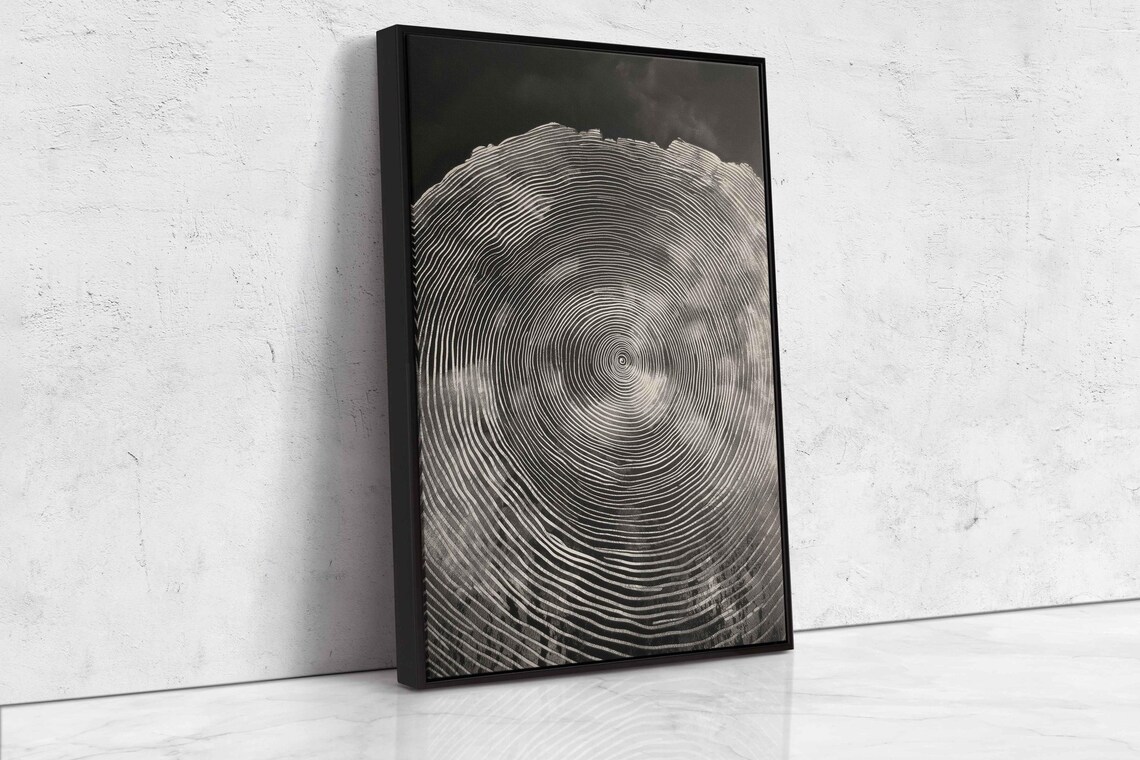 Monochrome Tree Rings Wall Art Print Detailed Wood Grain Elegant Home Decor - Image 4