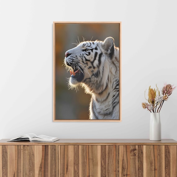 White Tiger Photograph, Wildlife Wall Art