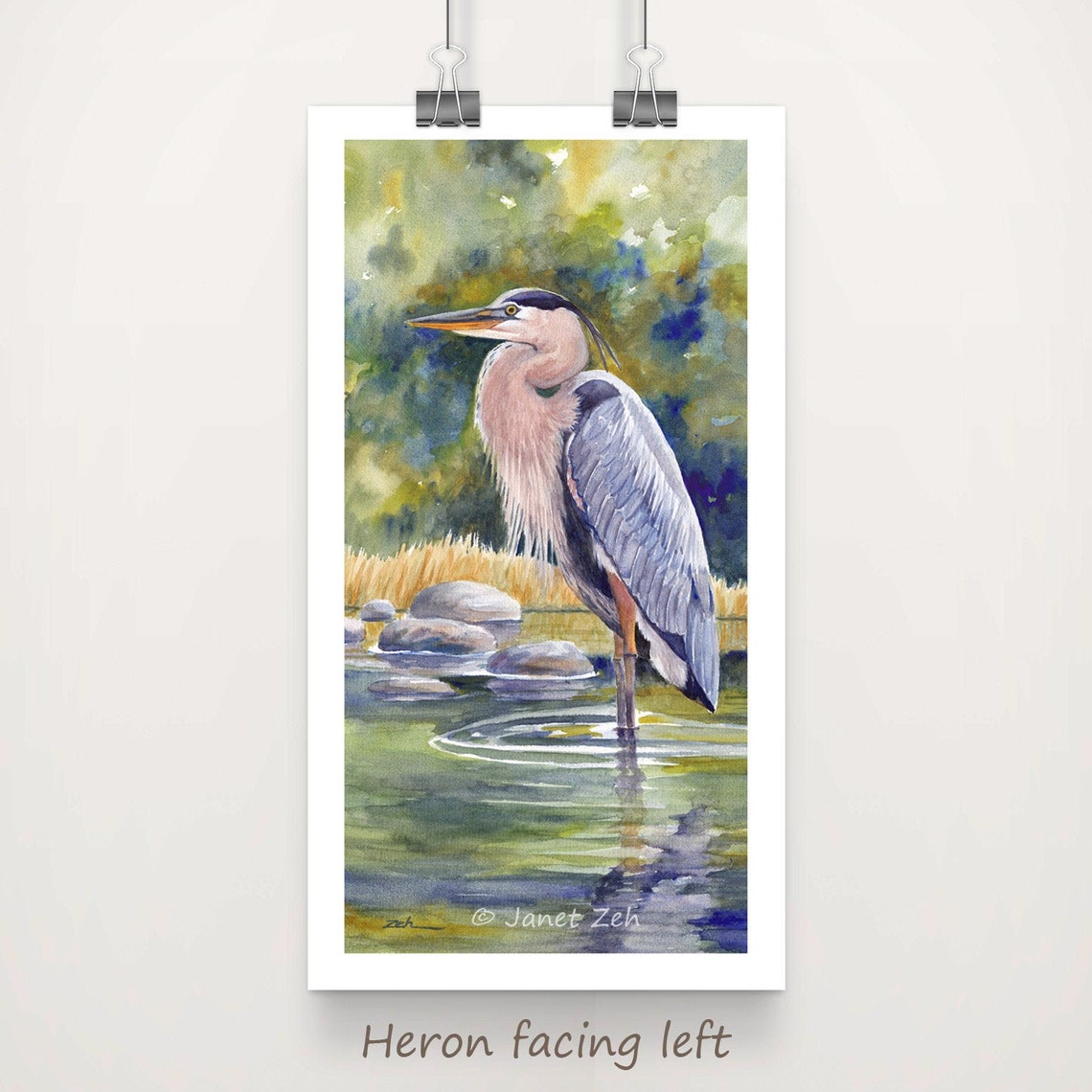 Great Blue Heron Standing Shallow Water Reeds Watercolor Bird Poster