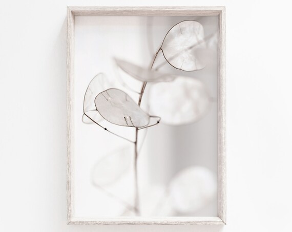 Flower Print, White Botanical Minimalist Art Print