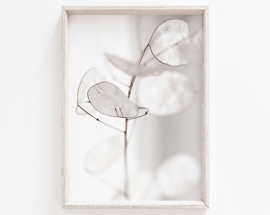 Flower Print, White Botanical Minimalist Art Print