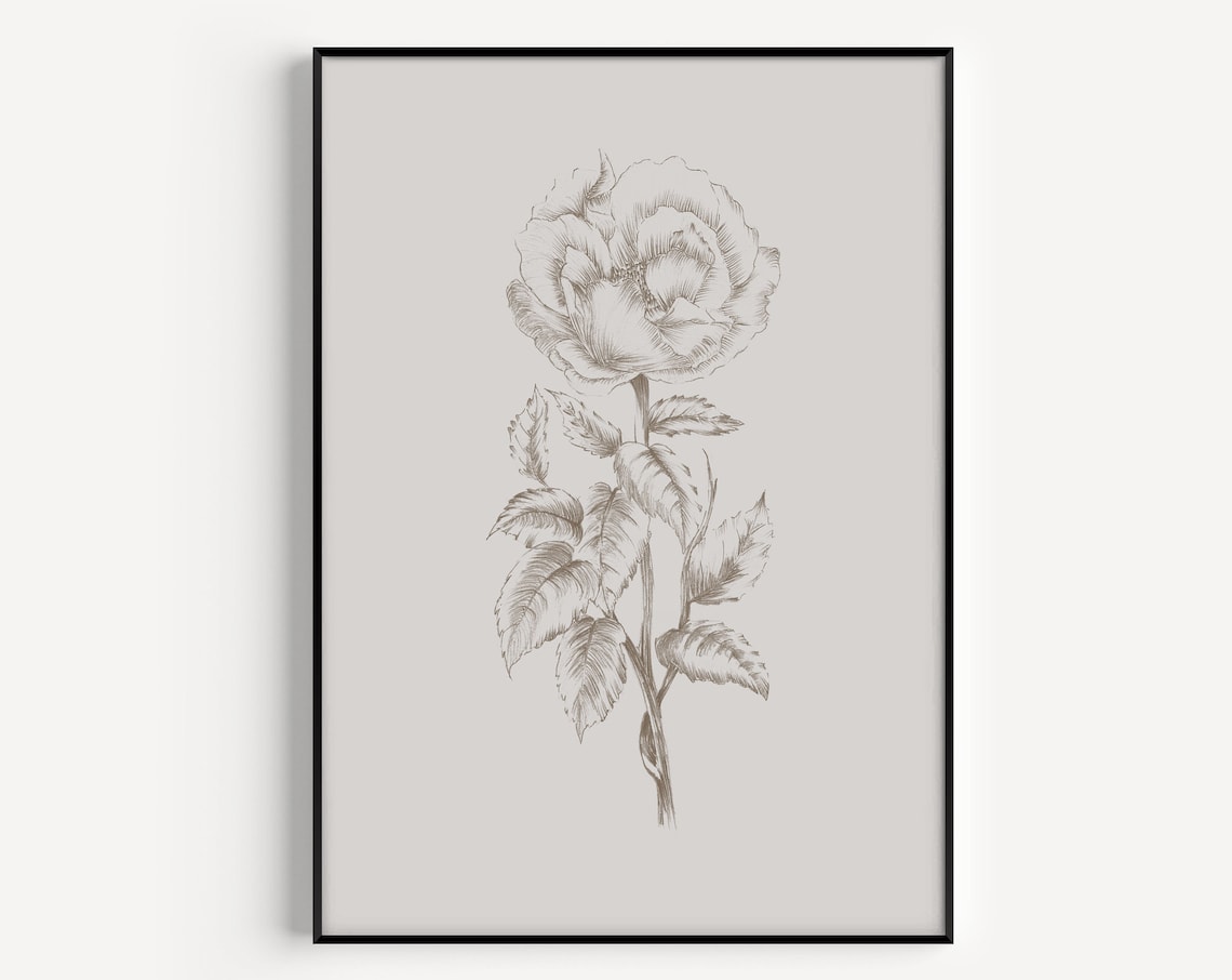 Fine Beige Botanical Rose Line Drawing Vintage Floral Wall Art