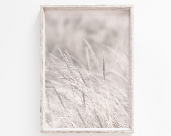 Dried Grass White Pampas Minimalist Art Print