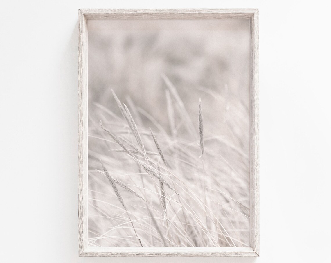 Dried Grass White Pampas Minimalist Art Print
