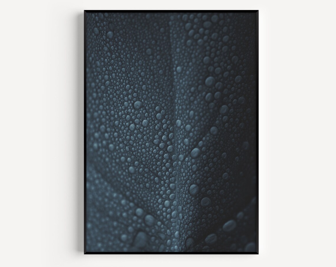 Wall Art Print Botanical Blue Leaf Minimalist Prints