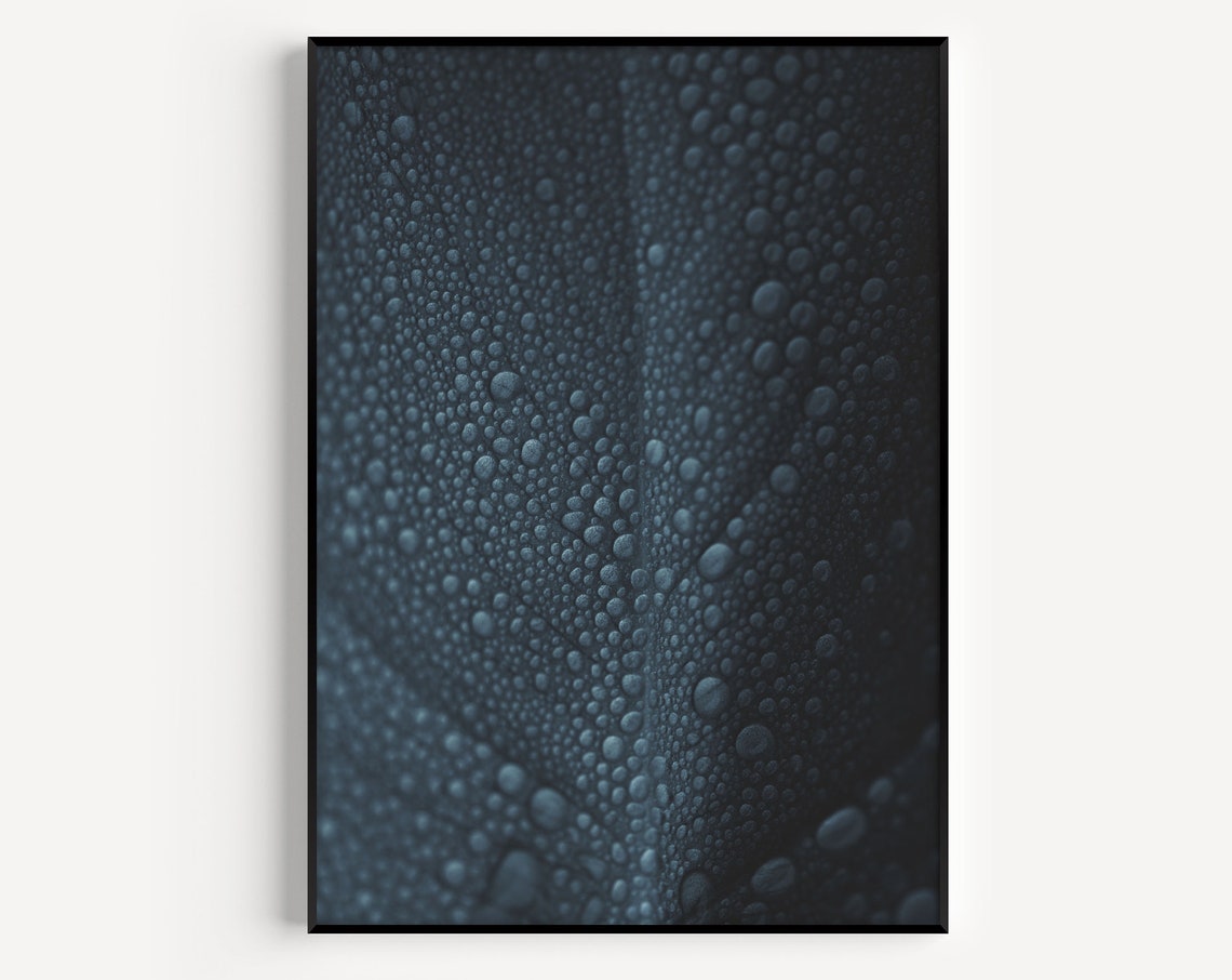 Water Droplet Macro Feather Dark Texture Moody Blue Night Poster