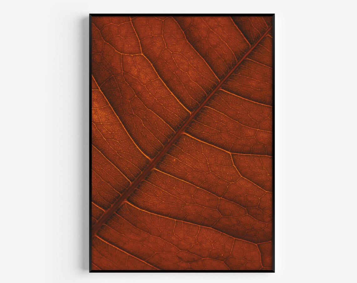 Botanical Print Wall Art Leaf Orange Prints