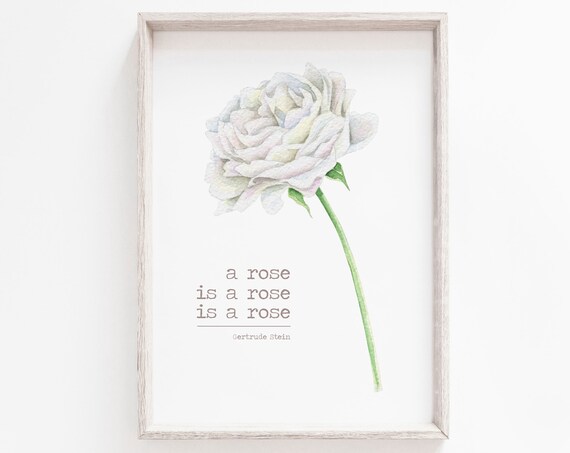 Gertrude Stein A Rose Is A Rose Quote Minimal Botanical Wall Art