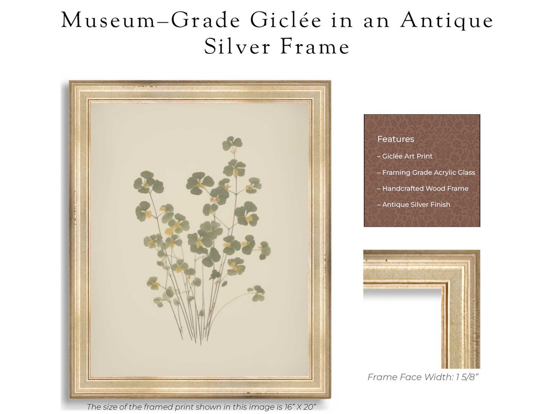 Wild Fern Botanical Study Pressed Leaves On Cream Paper Poster - Image 2
