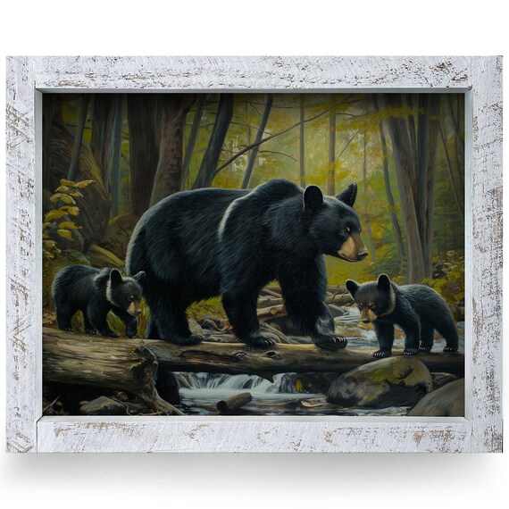 Black Bear Mother with Two Cubs Crossing Stream Wildlife Poster