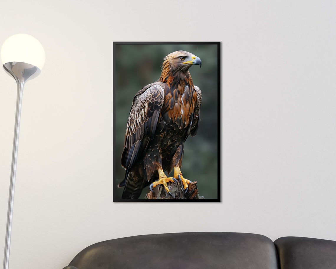 Golden Eagle Portrait Close Up On Rocky Perch Wildlife Poster