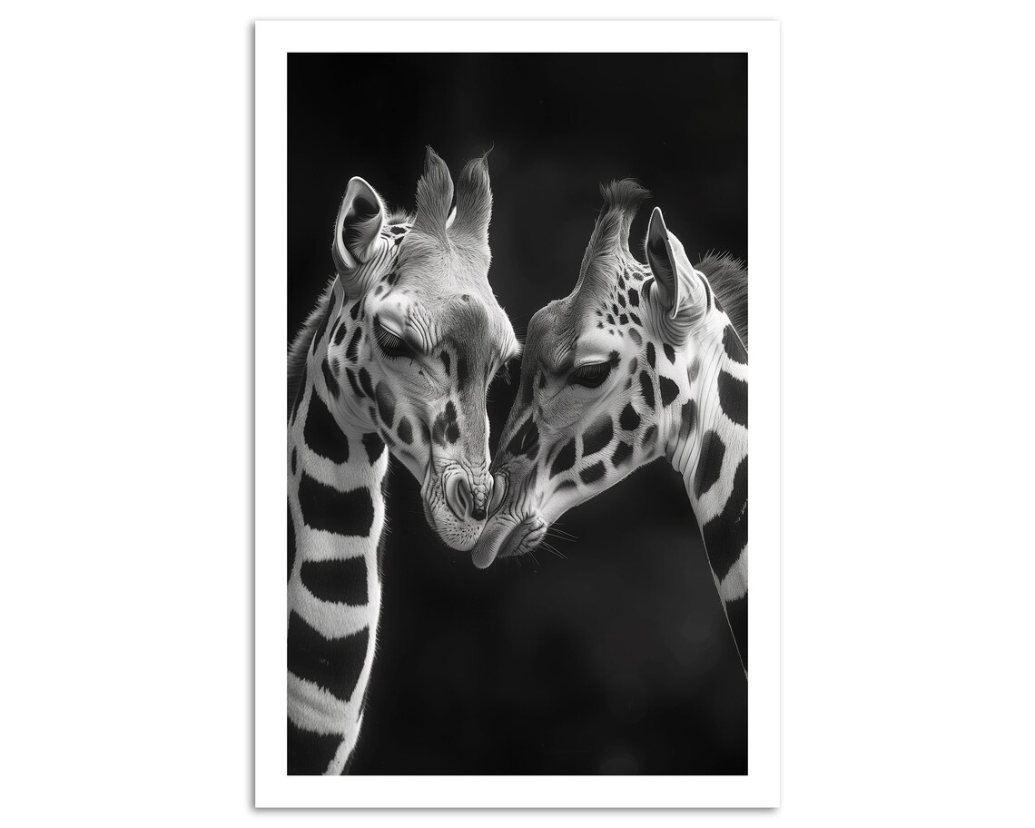 Tender Giraffe Pair Embrace Black And White Dramatic Wildlife Art Poster - Image 5