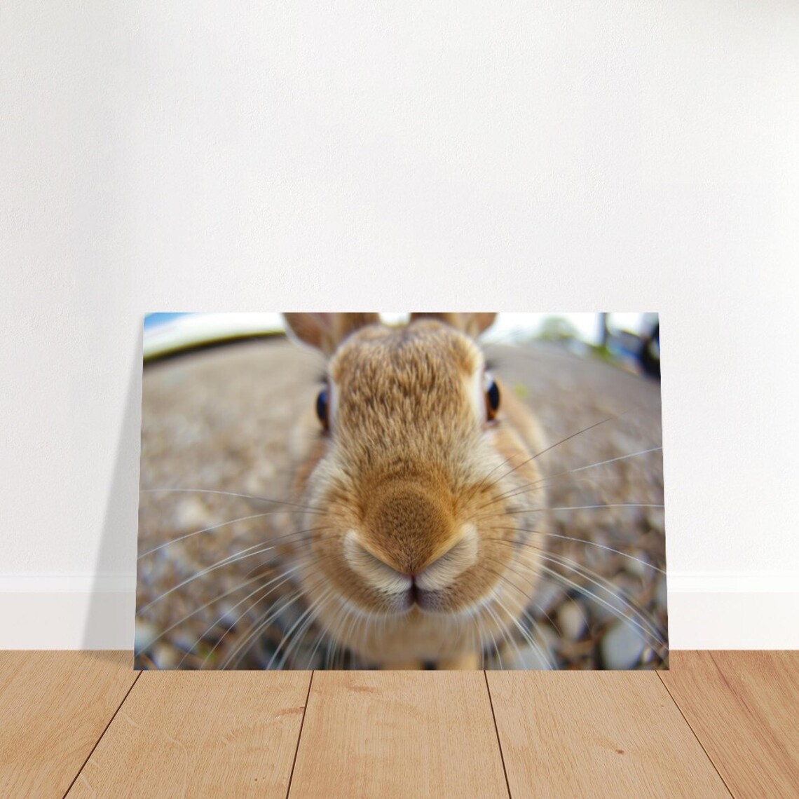 Rabbit Extreme Close Up Funny Bunny Nose Cute Pet Photo Wall Art Poster