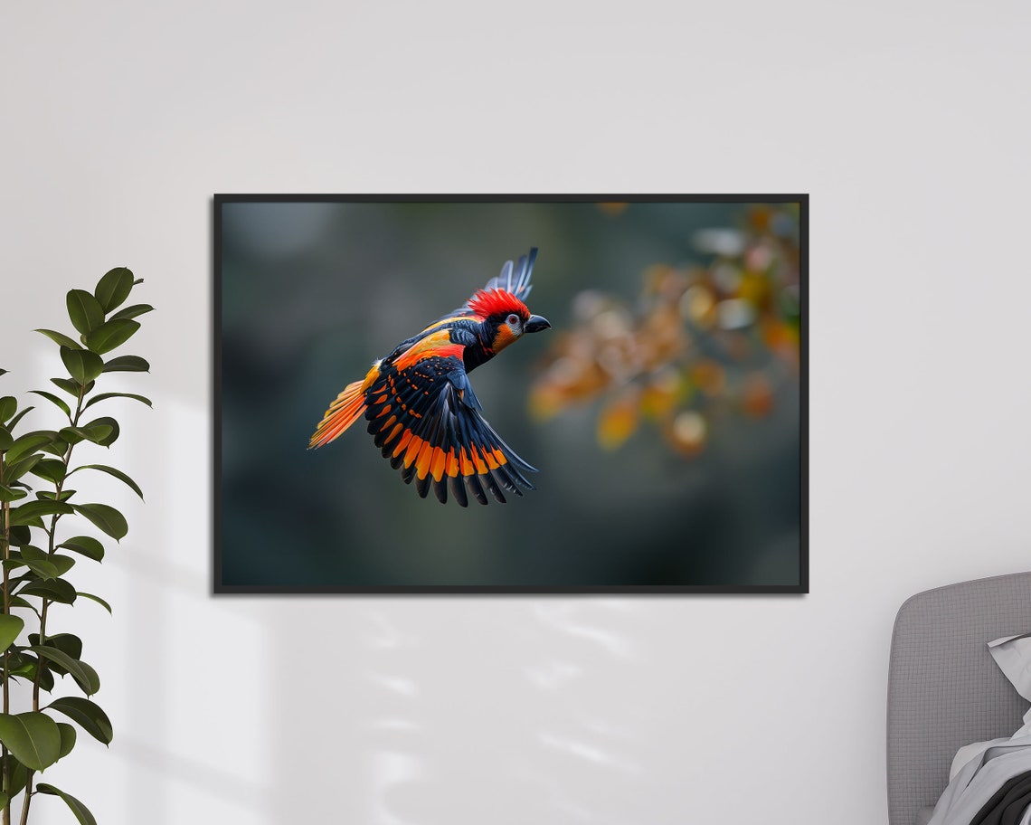Red And Black Songbird In Flight Wildlife Birdwatcher Art Poster - Image 4