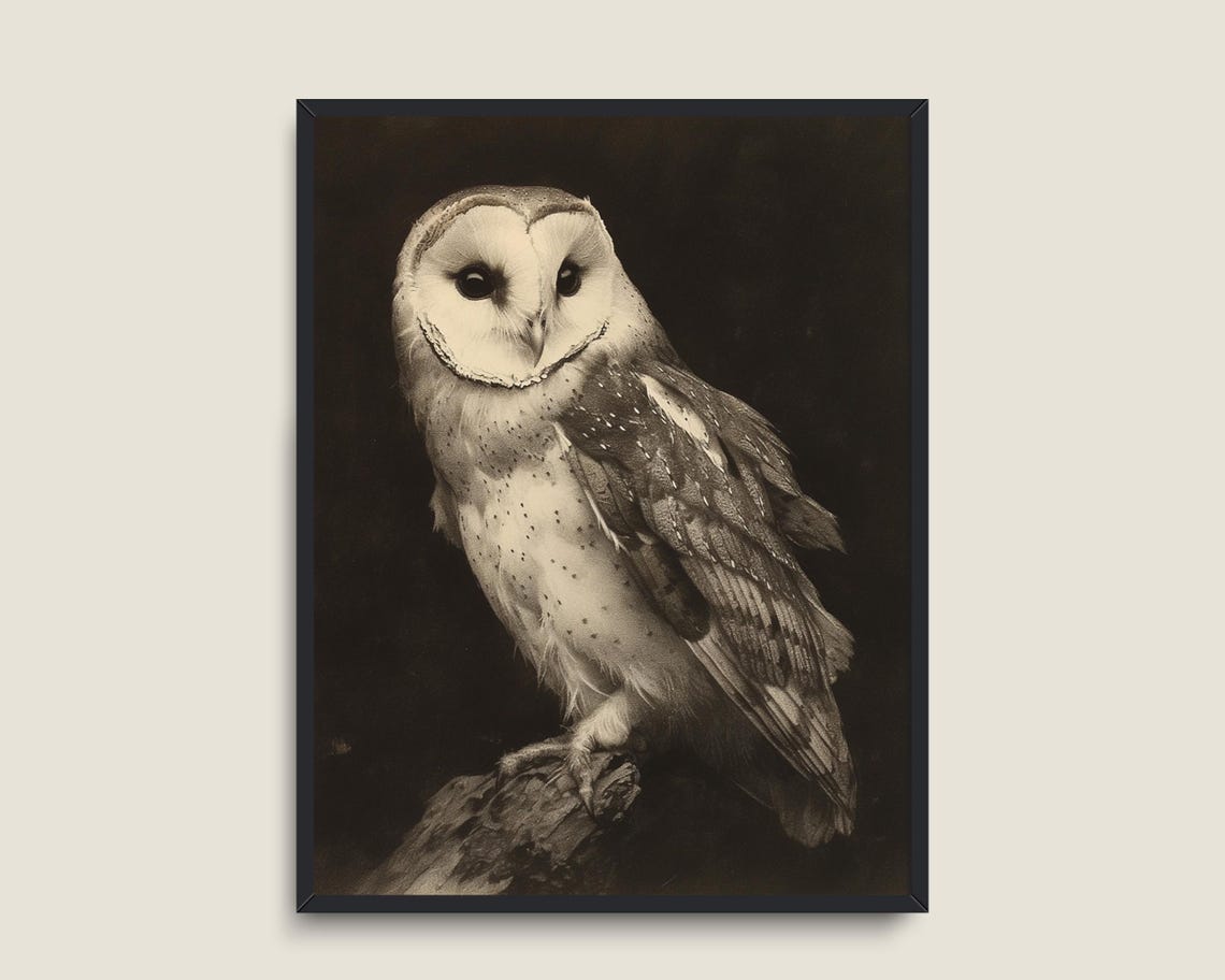 Barn Owl Sepia Vintage Heart Face Moody Wildlife Portrait Print - Image 3