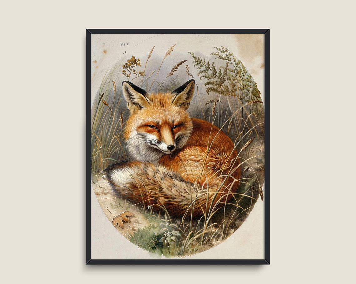 Red Fox Curled In Tall Wild Grass Vintage Wildlife Nature Print - Image 3