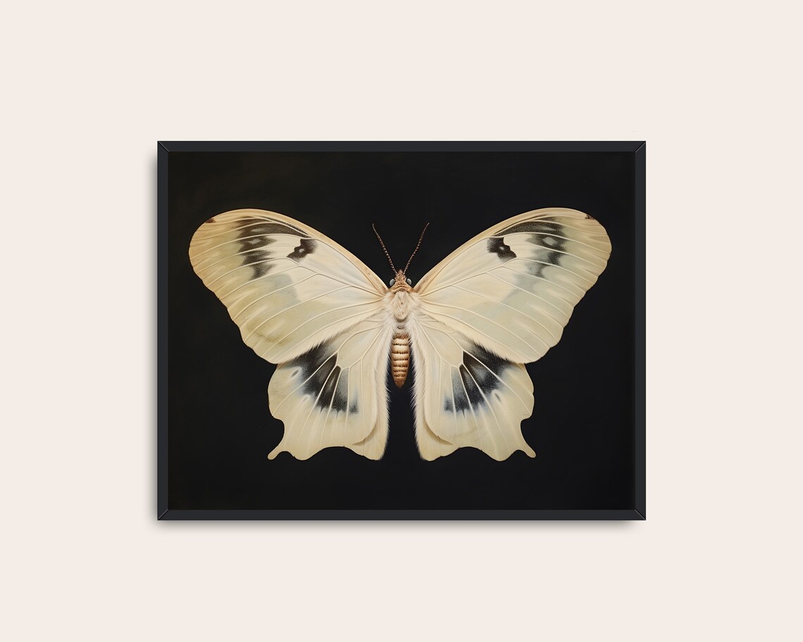 White Moth Victorian Vintage Art Print, Dark Academia - Image 3
