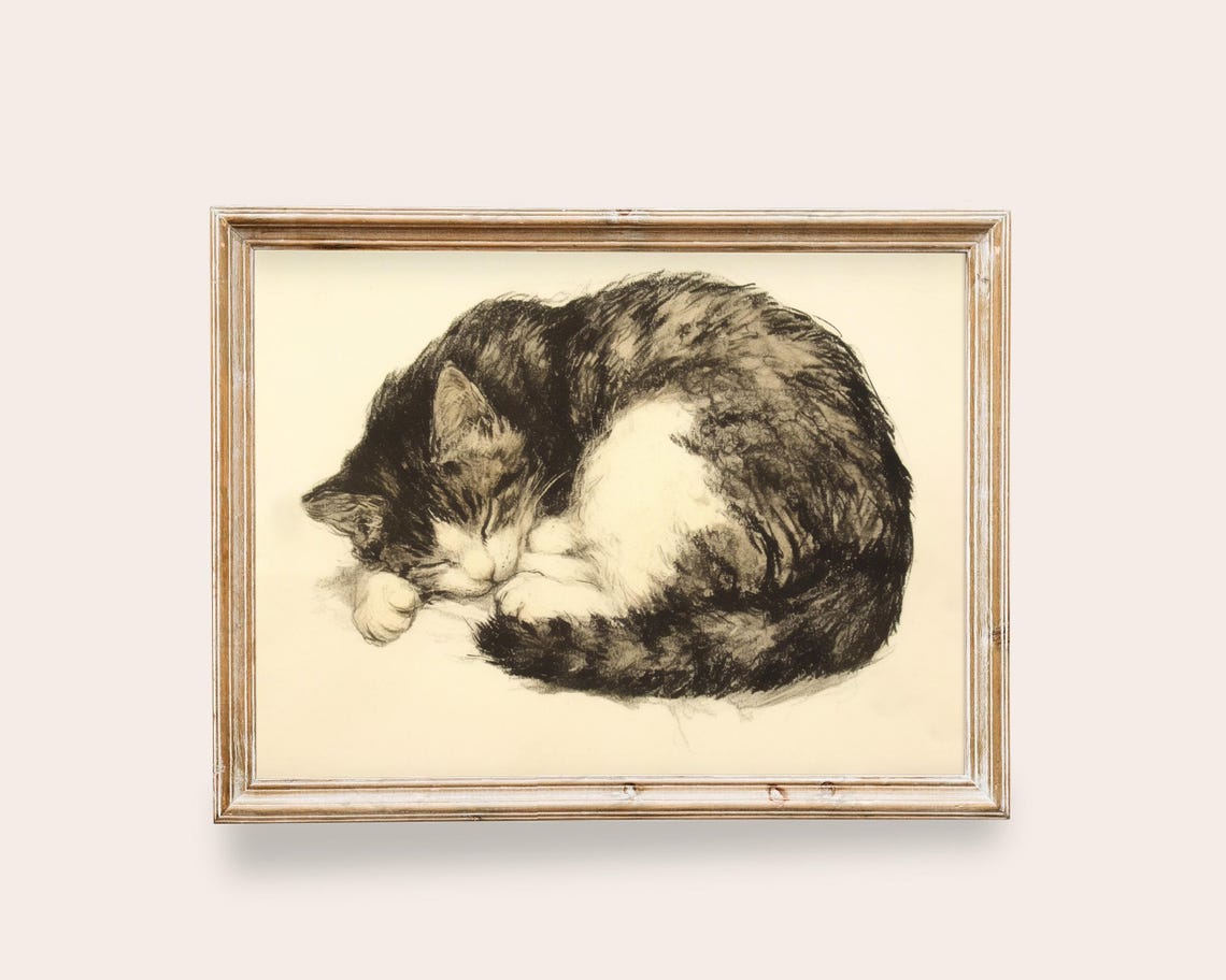 Sleeping Tabby Cat Curled Vintage Charcoal Sketch Wall Art Poster