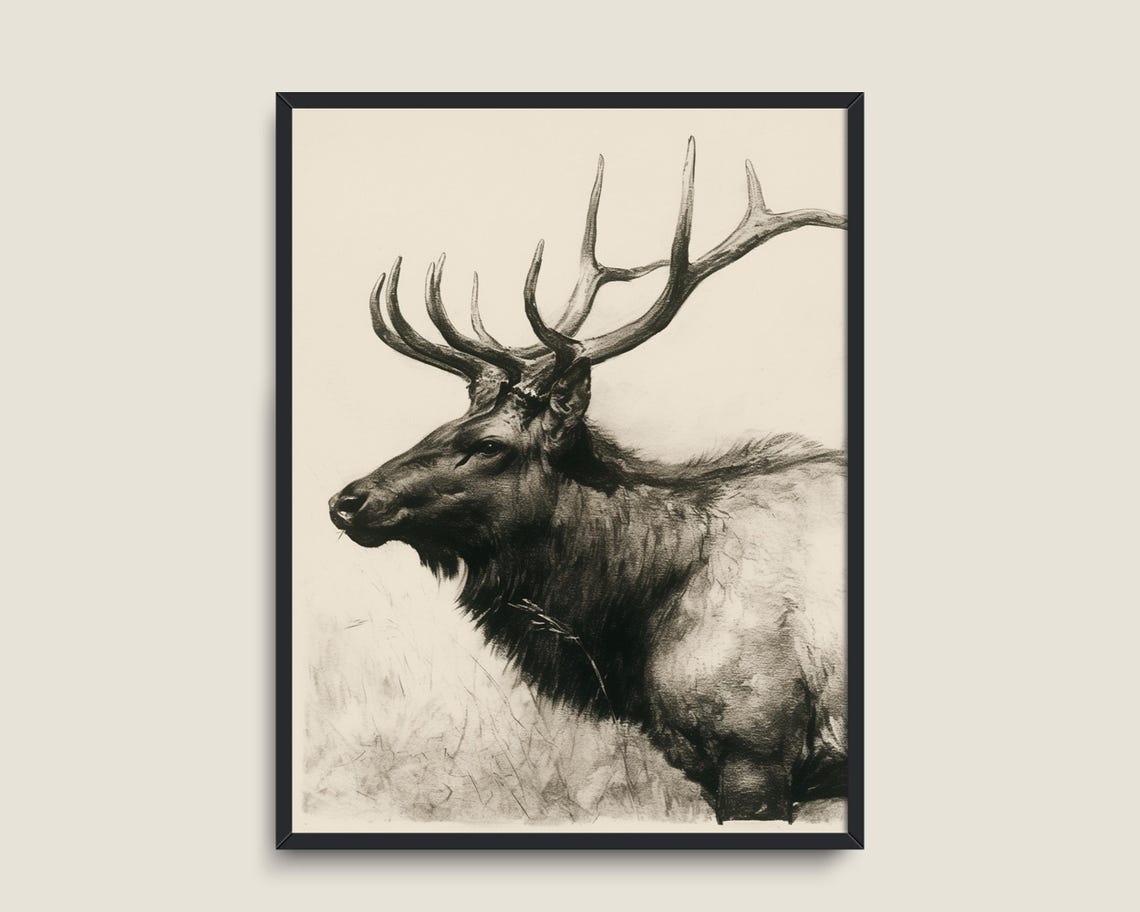 Elk Stag Antlers Monochrome Vintage Wildlife Sketch Wall Art Poster - Image 3