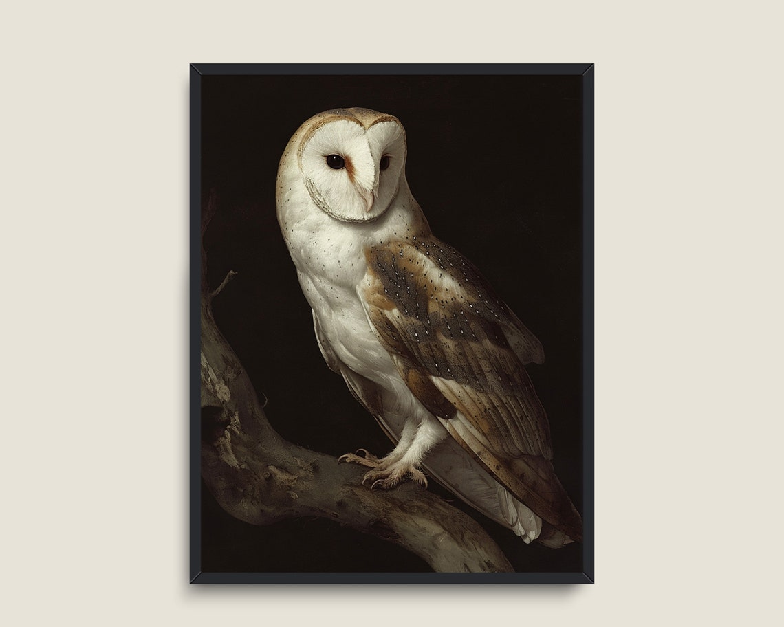 Barn Owl on Branch Dark Background Vintage Bird Portrait Poster - Image 3