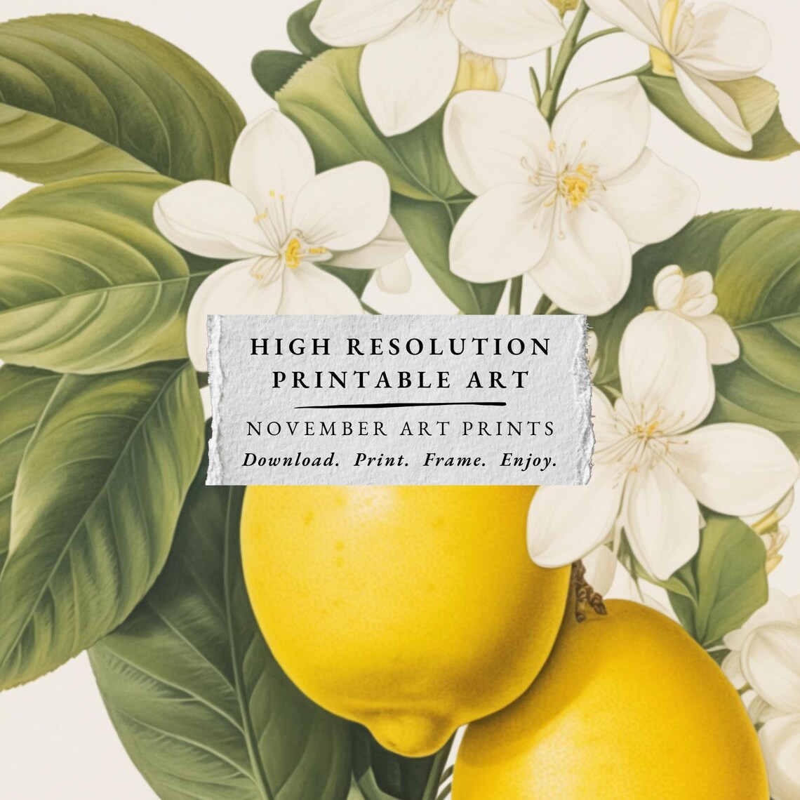 Vintage Lemon Tree Print, Retro Kitchen Decor - Image 3
