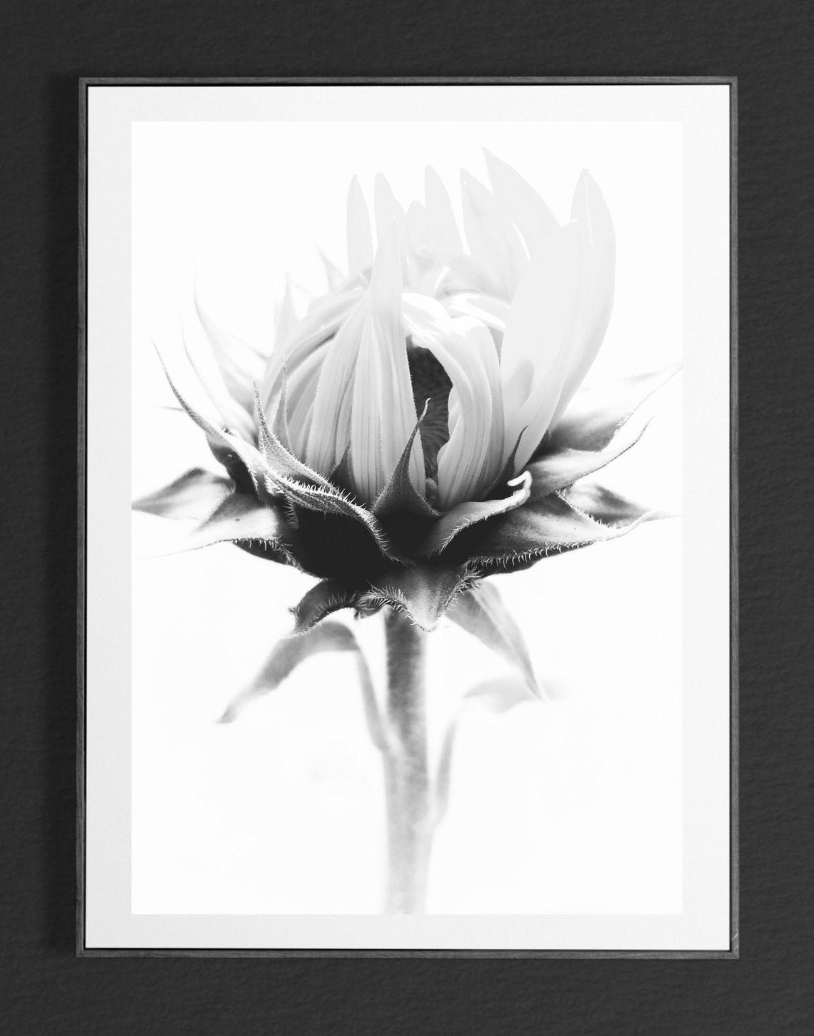 Black And White Flower Bud Close Up Minimalist Botanical Wall Art - Image 4